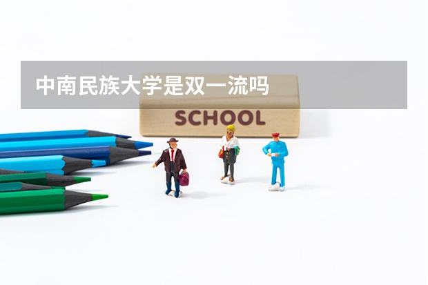 中南民族大学是双一流吗