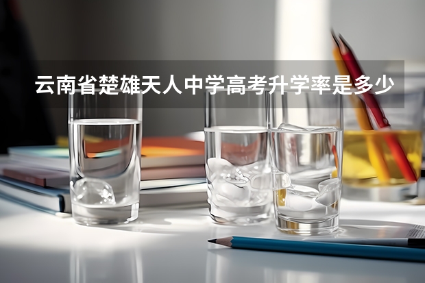 云南省楚雄天人中学高考升学率是多少?